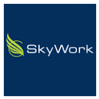 SkyWork Airlines