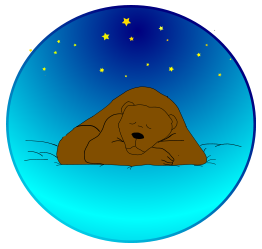 Sleeping bear under the stars