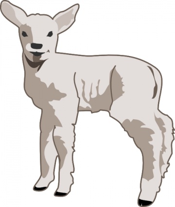 Small Sheep clip art