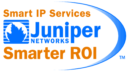 Smart Ip Services Smarter Roi