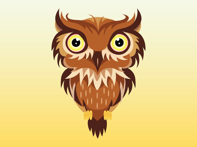 Smart Owl