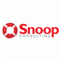 Snoop Consulting