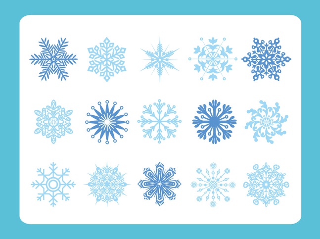 Snow Flake Variety