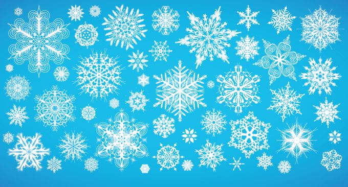 Snowflake Vector