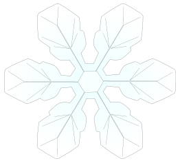 Snowflake1