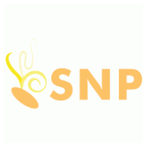 SNP-Soluciones Nuevas Posibilidades-