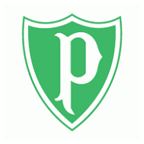 Sociedade Esportiva Palmeiras de Pato Branco-PR