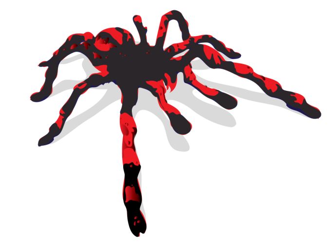 Spider Vector