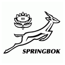 Springbok