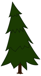 Spruce