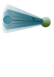 ssNMR order parameter