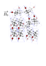 ssNMR partially ordered material