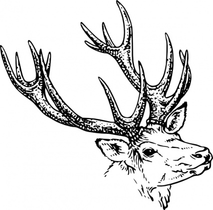 Stag Head clip art