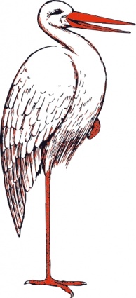 Stork clip art