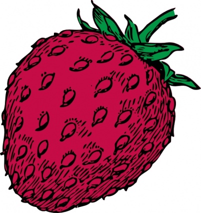 Strawberry clip art