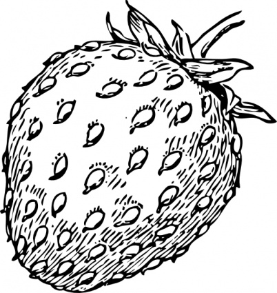 Strawberry clip art