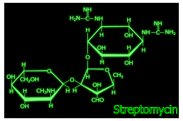 Streptomycin structure