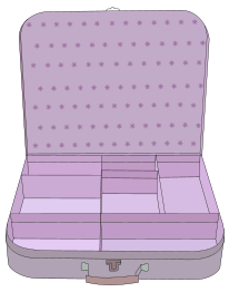 Suitcase With Compartment