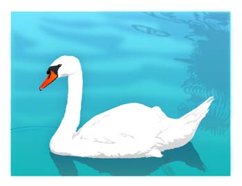 Swan 1