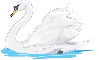 Swan 4