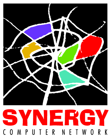 Synergy Computer Network