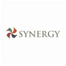 Synergy Financial Group