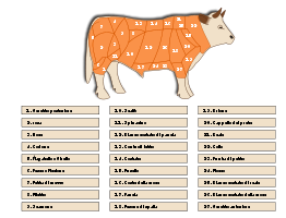 Tagli bovini - Beef cuts