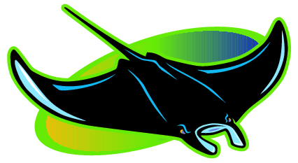 Tampa Bay Devil Rays