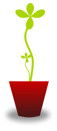 Tender Plant