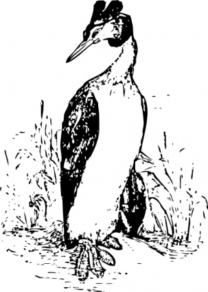 The Grebe clip art