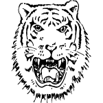 Tiger Free Vector Cf