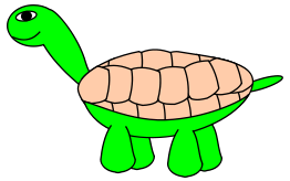 TortoiseStage5