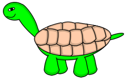 TortoiseStage6_Final