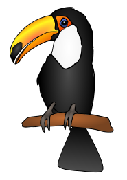 Toucan