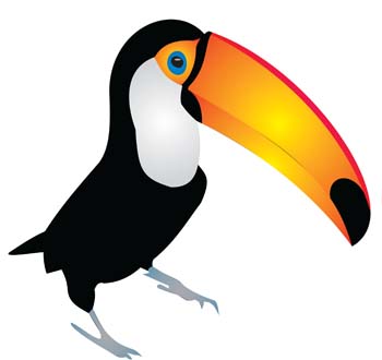 Toucan