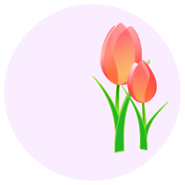 Tulips