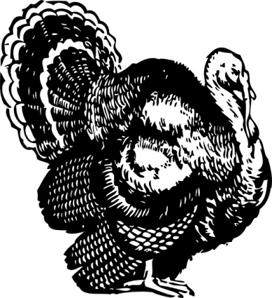 Turkey clip art