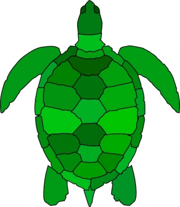 Turtle Water Green Ocean Animal Reptile Seaturtle Schildkroete