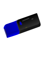 USB Flash Drive Kingston DataTraveller 112