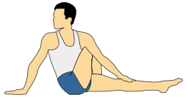 Vakrasana