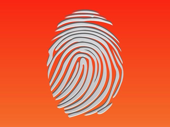 Vector Fingerprint