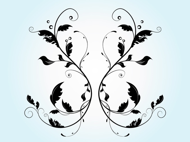 Vector Flourish Graphics