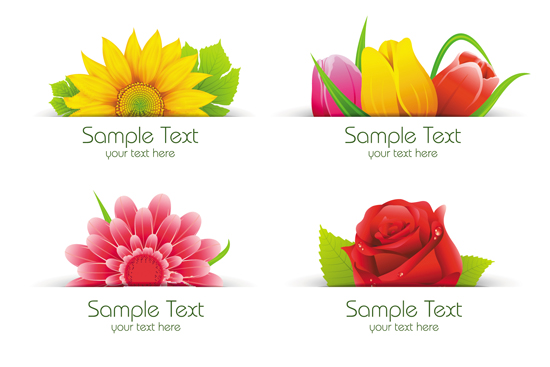 Vector Flower Banner Set