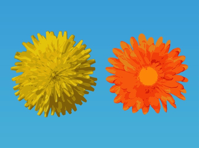 Vector Flower Designs