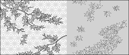 Vector line drawing of flowers-34(Maple Leaf)