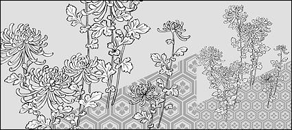 Vector line drawing of flowers-39(Chrysanthemum, background)