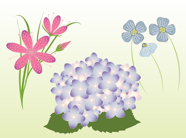 Vector Spring Flowers