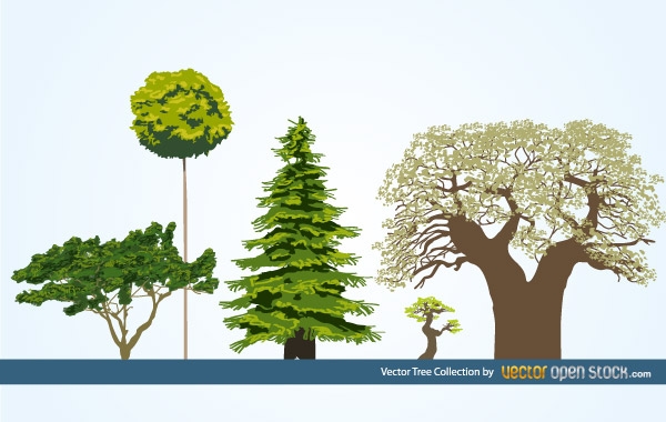 Vector Tree Collection