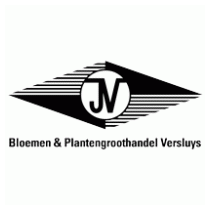 Versluys Bloemen