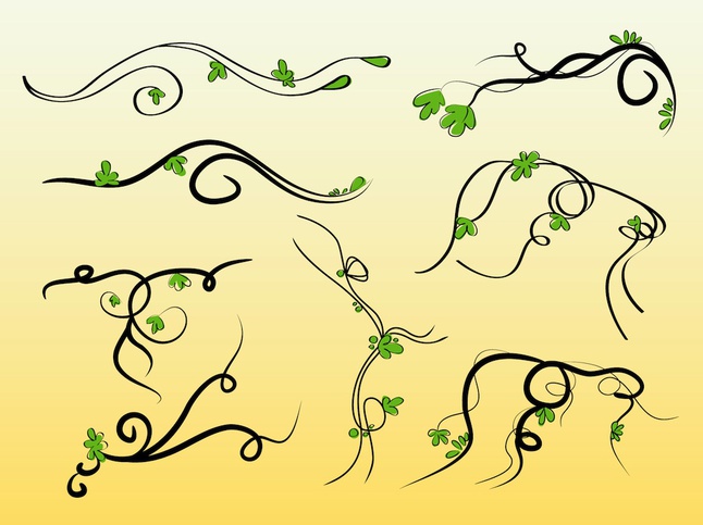 Vines Vectors